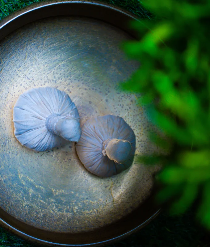 Ayurveda Treatment Hospital in Kerala