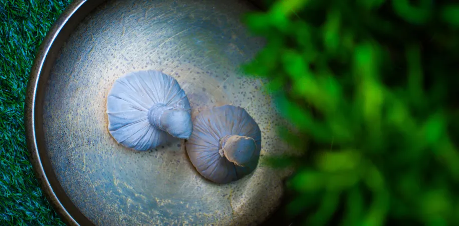 Monsoon Special Ayurvedic Treatment